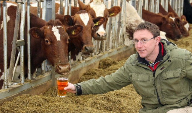 Organic dairy herd enjoy a tipple to ward off infections