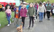 Dogs take the lead in charity fundraiser