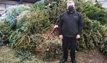 Christmas trees collection branches out