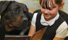 Man’s best friend lends an ear to reading project