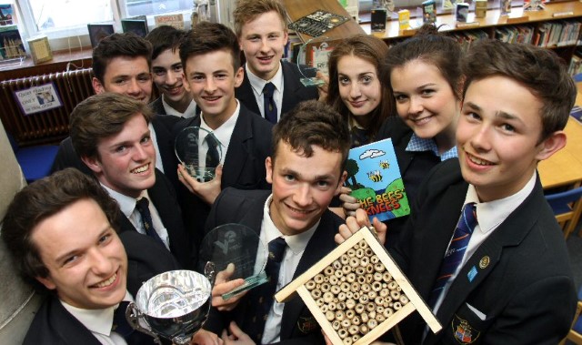 Enterprising students open Bee Hotel business