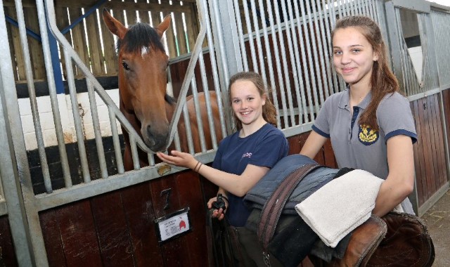 Horse lovers secure work at racing stables