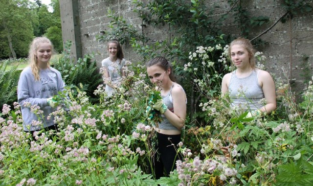 Pupils help out in the local environment