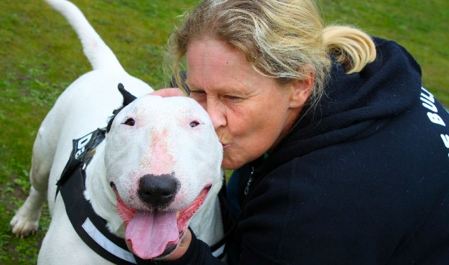 Dogs take the lead at Bark in the Park