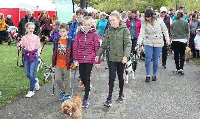 Dogs take the lead in charity fundraiser