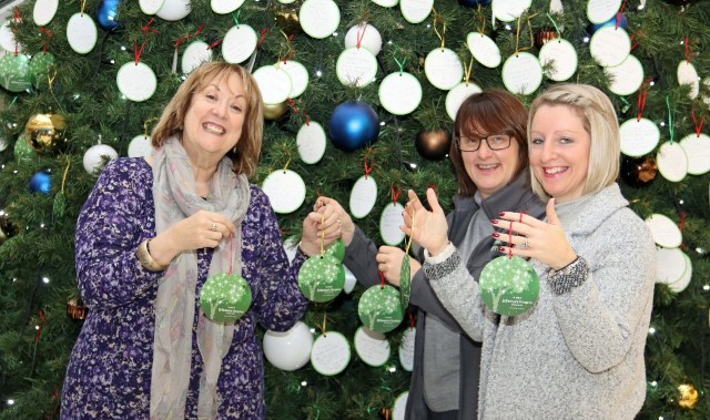Hospice launches festive fundraiser 