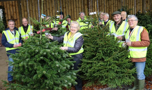 Volunteers branch out with tree tagging scheme