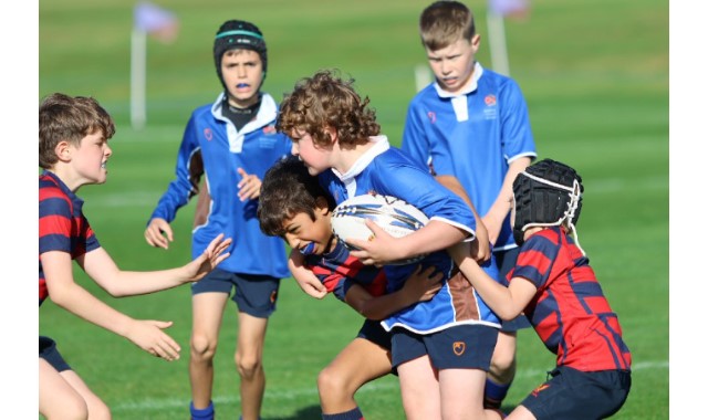 Sporting showcase
