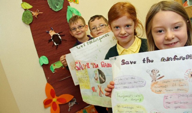 Pupils collect funds to help save the world's rainforests