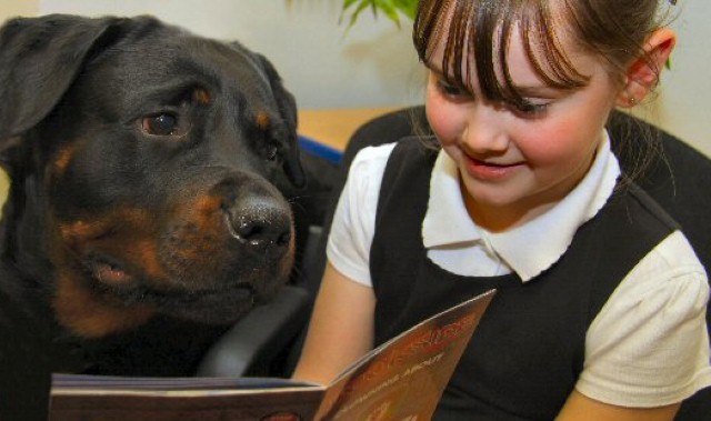 Man’s best friend lends an ear to reading project