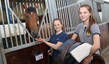 Horse lovers secure work at racing stables