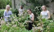 Pupils help out in the local environment