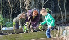 School is awarded Green Flag accolade