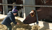 Acorn Dairy celebrates a quarter of a century 