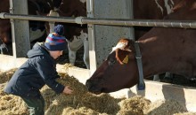 Acorn Dairy celebrates a quarter of a century Acorn Dairy celebrates a quarter of a century
