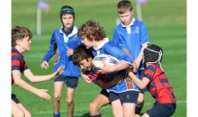 Sporting showcase